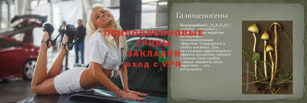 дживик Алексин