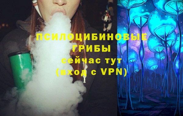 дживик Алексин