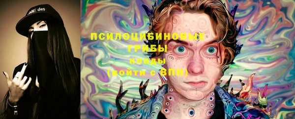 дживик Алексин