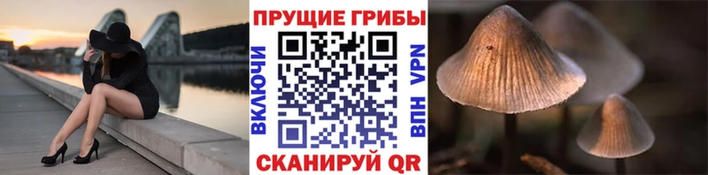 Галлюциногенные грибы прущие грибы где можно купить Урай