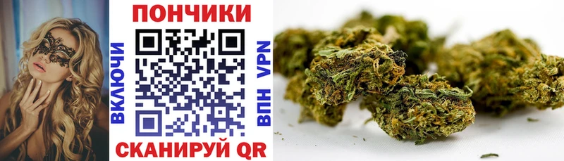 Бошки Шишки гибрид  Урай 
